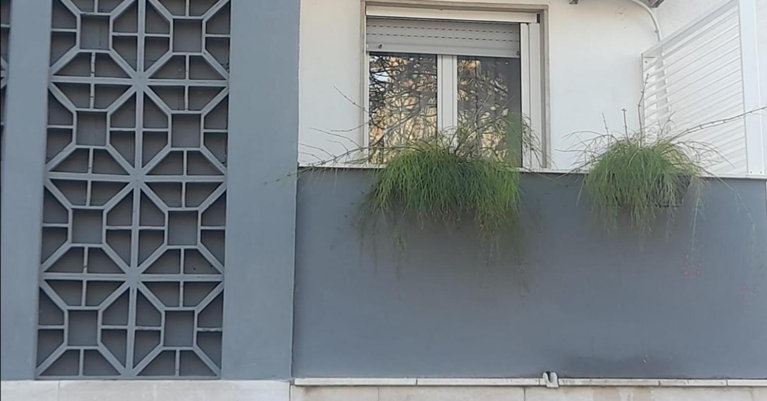 Maison Sama ' Andria Luaran gambar